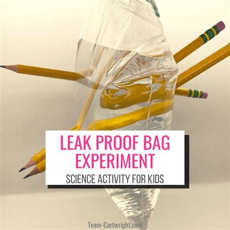 leak proof bag experiment|The Leak